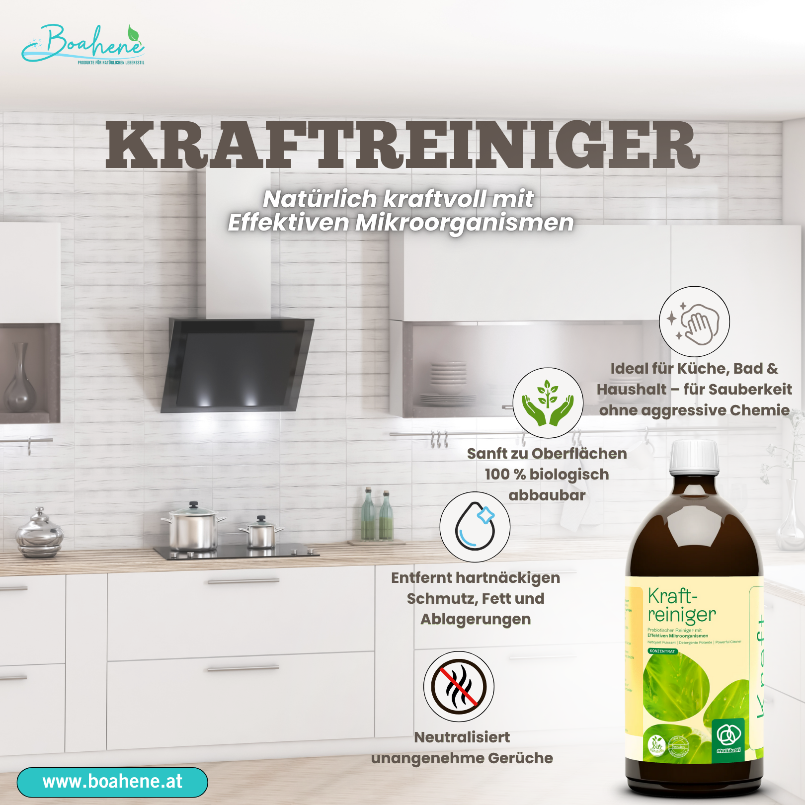Kraftreiniger