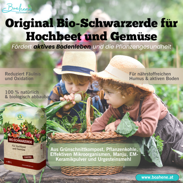 Original Bio-Schwarzerde für Hochbeet und Gemüse