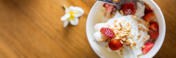 Frozen Yoghurt