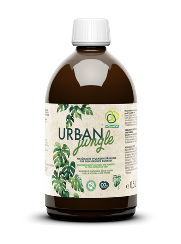 Urban Jungle