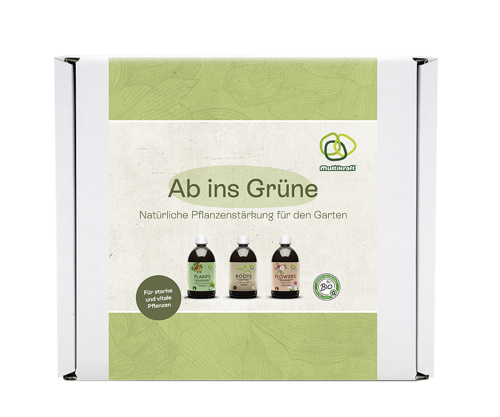Paket "Ab ins Grüne"