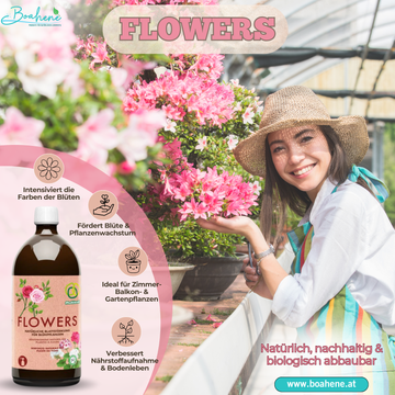 Flowers (Blumengold)