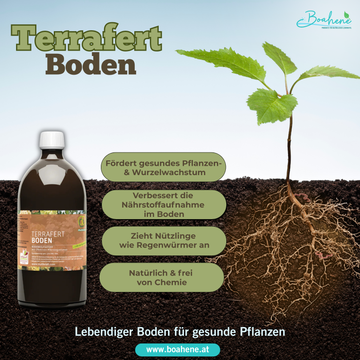 Terrafert Boden