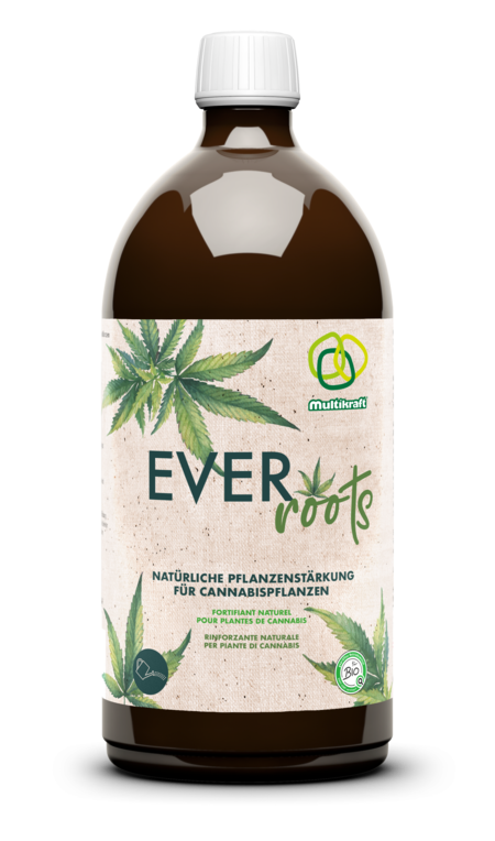 Multikraft Everroots