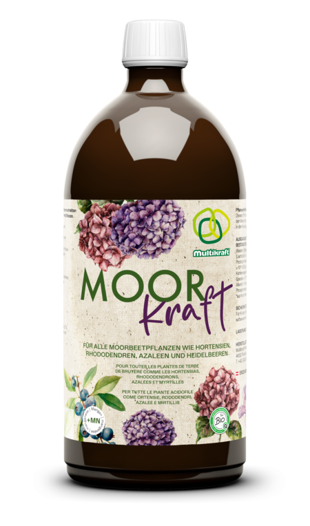 MoorKraft