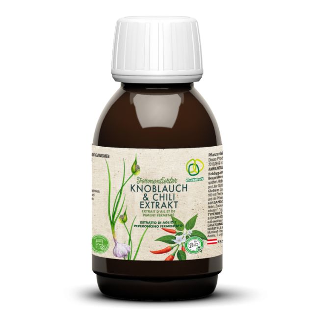 Fermentierter Knoblauch- und Chiliextrakt