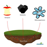 Illustation Kompost holzkohle mikroorganismen terra preta