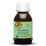 Plants (Blattgold)
